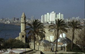 Jaffa Visitor Center-Jaffa2030